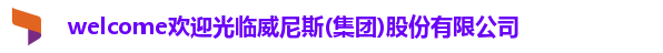 威尼斯集团